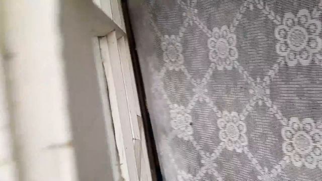 4 листопада ,візуалний огляд пасіки перед зимою....