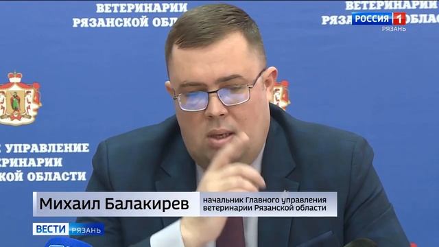 О строительстве приюта для безнадзорных собак в г. Рязани смотреть онлайн