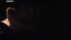 Цикада 3301  Квест для хакера