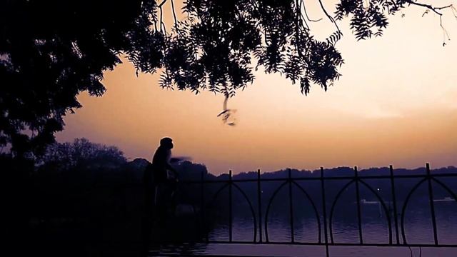 Животные в Индии смотреть онлайн