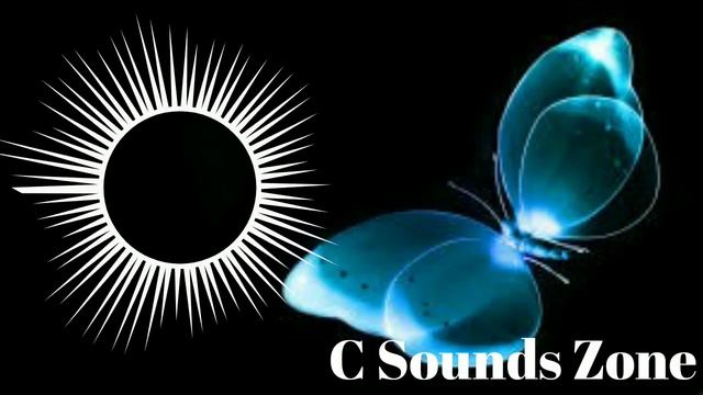 V.F.M.style - INDIAN DESERT VIP (Original Mix) || C Sounds Zone смотреть онлайн