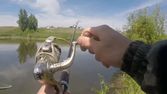 КАРАСИ-КАБАНЧИКИ в черте города! смотреть онлайн