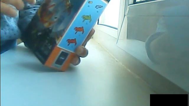 Доставщик пиццы Sluban , "Скорпионы" KSZ смотреть онлайн