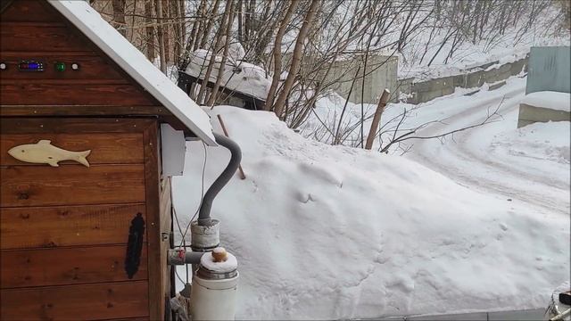 Рульки горячего копчения.Коптим мясо. смотреть онлайн