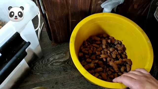 Экономичное использование КЕРАМЗИТА с теплички в аквариуме вместо ЛАВЫ !!!! смотреть онлайн