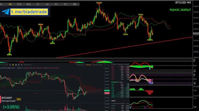 BTC в реальном времени/ LIVE BTC