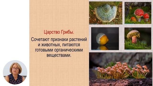 Биология, 7-й класс, Систематика организмов. Таксономические категории. Царство животные смотреть онлайн