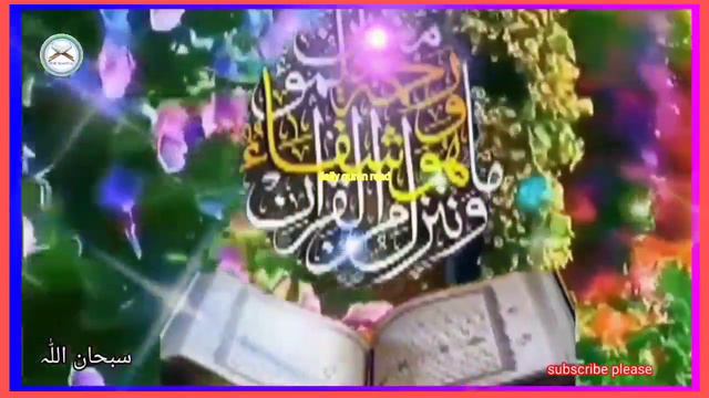 surah nasr || complete tilawat of surah nasr #dailyquranread смотреть онлайн