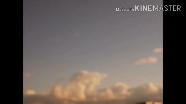 31 июля 2020 г.