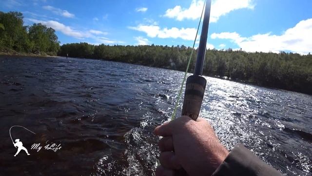 ЛОСОСЕВАЯ РЫБАЛКА на СЕВЕРЕ. КОЛЬСКИЙ ПОЛУОСТРОВ. РЕКА УРА!!!)) ЧАСТЬ 2. смотреть онлайн