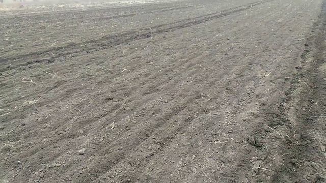 Как мы сохраняем агроволокно на 4 сезона. Важно знать чтобы не испортить в первый же год смотреть онлайн