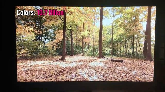 نقد و بررسی مانیتور بنکیو Monitor 4K-UHD Benq EL2870U | 1ms | 60 Hz | 4K UHD Review смотреть онлайн