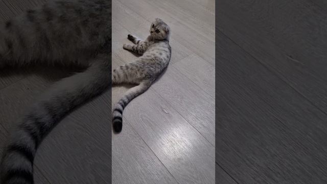 как говорила моя бабушка