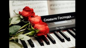 Тихо в аравии МХО МСЦ ЕХБ