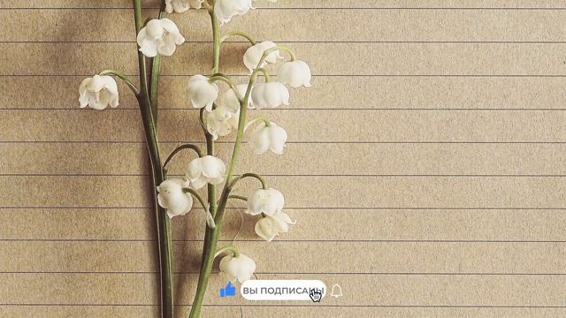 Трансерфинг. ЧТОБЫ В ВАШЕМ МИРЕ ВСЁ БЫЛО ХОРОШО, НАДО... [Вопрос-Ответ. Вадим Зеланд] смотреть онлайн