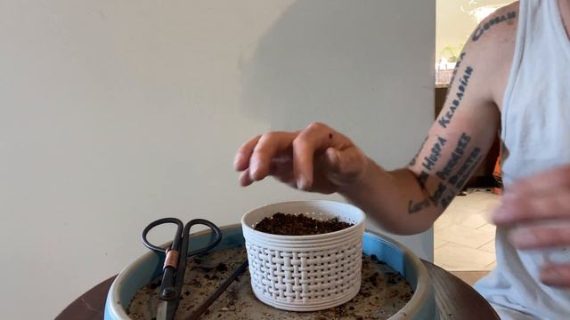 Root Baskets for my Texas Ebony and my Willow Leaf Ficus Ep 97 Taco Bonsai смотреть онлайн