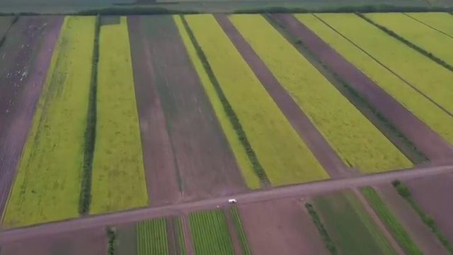 "Зеленый пояс" Астаны. Видео с квадрокоптера смотреть онлайн