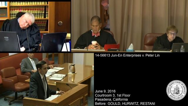 14-56613 Jun-En Enterprises v. Peter Lin смотреть онлайн