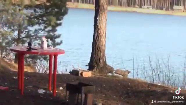 Петарда и мука)))