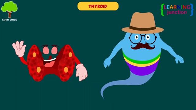 Endocrine System: What Is It, Functions & Organs | Video for Kids смотреть онлайн