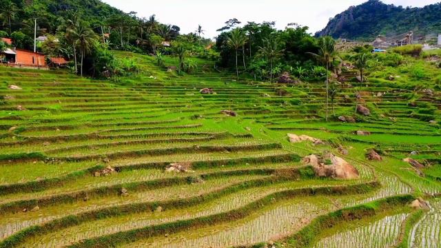 Japanese Village Life || The Most Beautiful Village In Japan 🇯🇵 || Rural Life In Japan