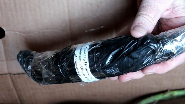 Если саженцы вы приобрели зимой, или как сохранить саженцы до посадки смотреть онлайн