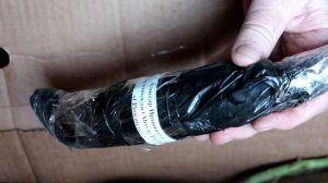 Если саженцы вы приобрели зимой, или как сохранить саженцы до посадки