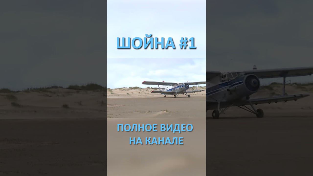 ШОЙНА SHOYNA 1 SHORTS #SHORTS смотреть онлайн