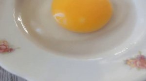 Проверяем на оплод гусиные яйца#оплод#гусей#яйца