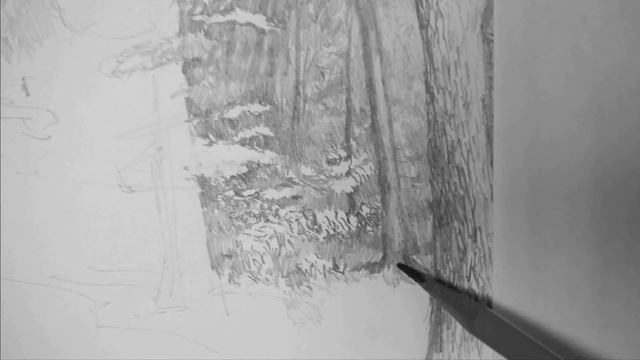 Рисунок карандашом: "В лесу" | Pencil drawing: "In the forest" смотреть онлайн