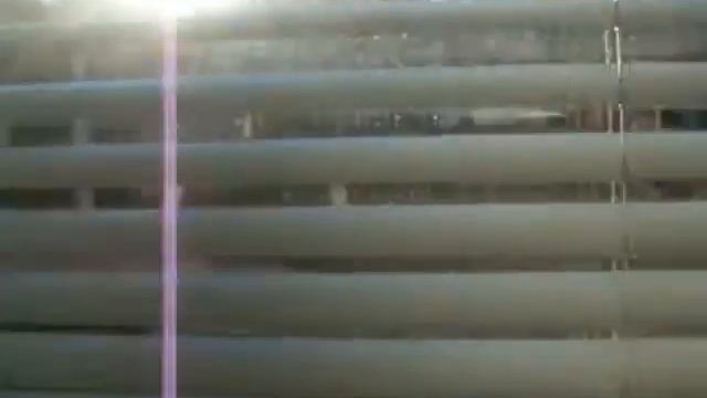 Домашний муравей. смотреть онлайн