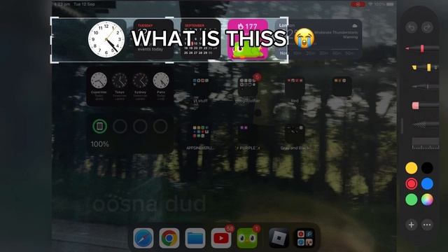 WHAT IS THIS DUOLINGO WIDGET смотреть онлайн