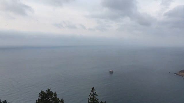 Ялта сегодня. Реликтовое место. Симеиз. смотреть онлайн