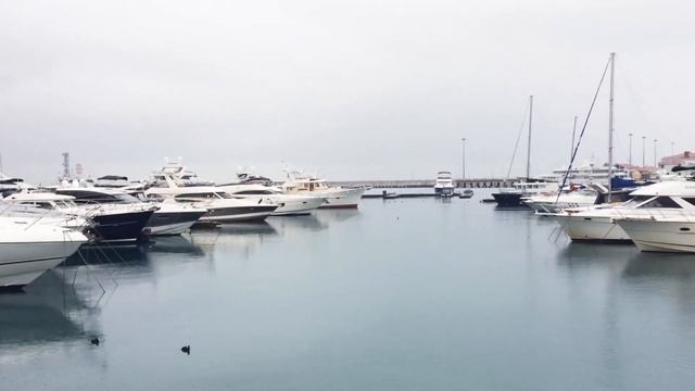 Сочи клип/воспоминания/природа Сочи/Хоста/Черное море смотреть онлайн