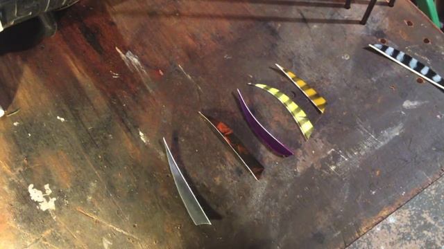 How to Identify Left and Right wing Feathers смотреть онлайн