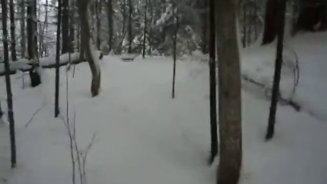 Мухтар ИРБИС 8 смотреть онлайн