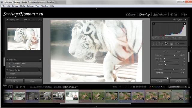Урок 024 полного русского курса по Lightroom 2 смотреть онлайн