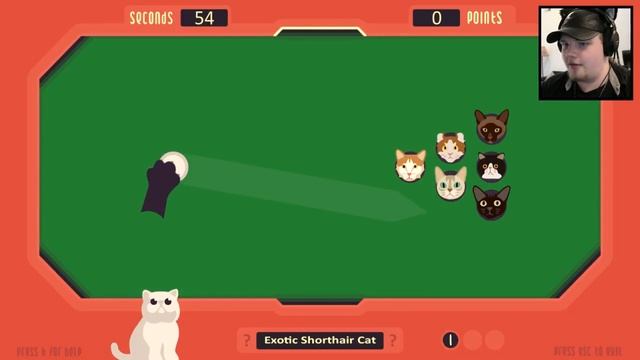 The Cat Games -- Another Cute Cat Game!! смотреть онлайн