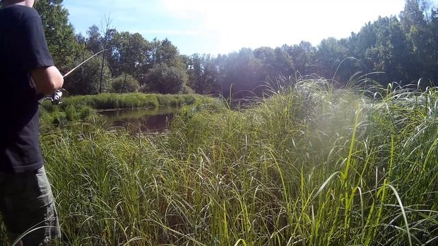 КАК НАУЧИТЬСЯ ЛОВИТЬ РЫБУ РЕКА КЛЯЗЬМА ПЕТУШКИ. КРАСИВЫЙ ЛЕС. РЫБЫ НЕТ. НЕУДАЧНАЯ РЫБАЛКА. ВЛОГ #1 смотреть онлайн