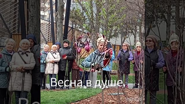 Прогулка пенсионеров по набережной моря. смотреть онлайн
