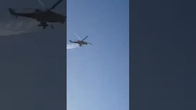 Лучшее средство от домашних клопов смотреть онлайн