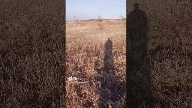 12 февраля 2024 г. (1).mp4 смотреть онлайн