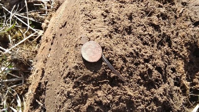 Открытие сезона . XP Deus смотреть онлайн