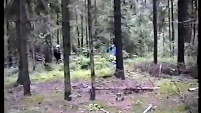 Грибы Зонтики, Рогатики, Гриб Плютей. Мы с Тамарой ходим парой. смотреть онлайн
