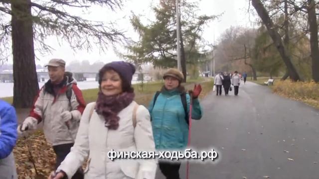 На ковре из желтых листьев... Скандинавская ходьба на Елагином, Санкт-Петербург, 01 ноября 2015 год смотреть онлайн