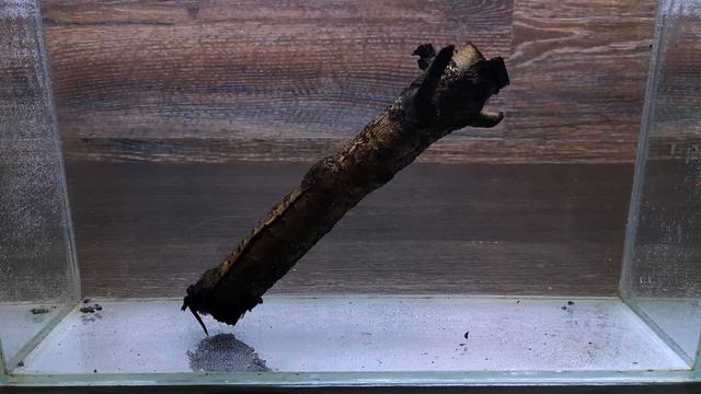 ПРОВЕРКА ЛАЙФХАКА. РАСКАЛЕННАЯ КОРЯГА. НЕОЖИДАННЫЙ ИСХОД