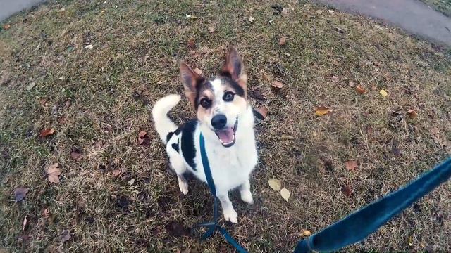 Буф ищет дом смотреть онлайн