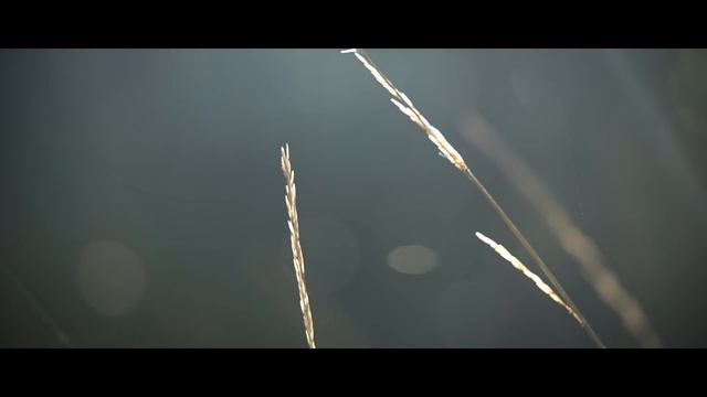 RETURN to NATURE смотреть онлайн