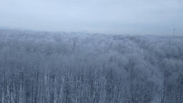 MOV 0022 Москва, 16.01.16, вид из окна, иней смотреть онлайн