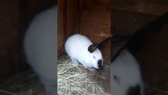 незнаю как назвать смотреть онлайн